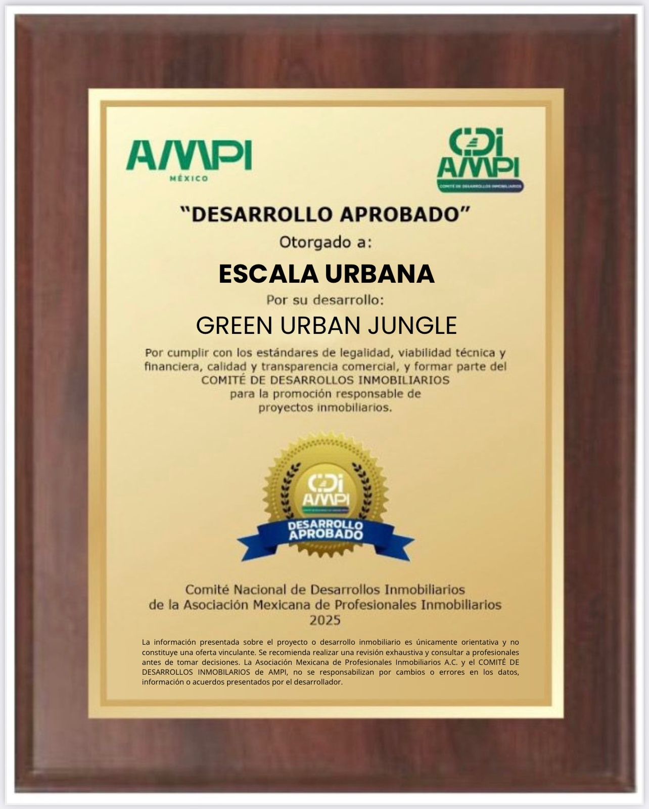 Diploma Green Urban Jungle